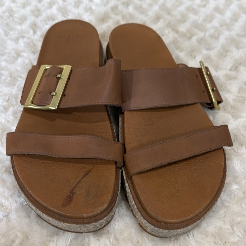 Sorel Roaming buckle slides sandals